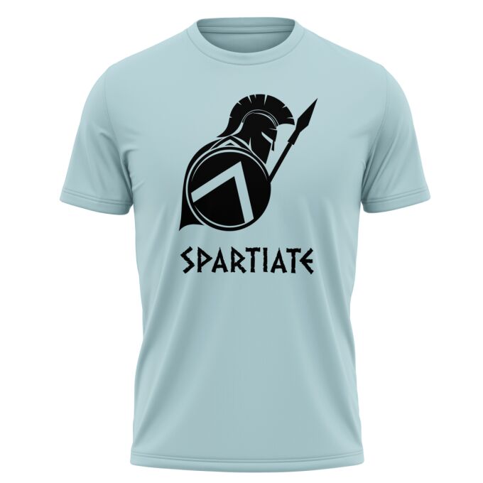 T-Shirt Homme de qualité supérieure (matériau de personnalisation haut de gamme, imprimé en France)