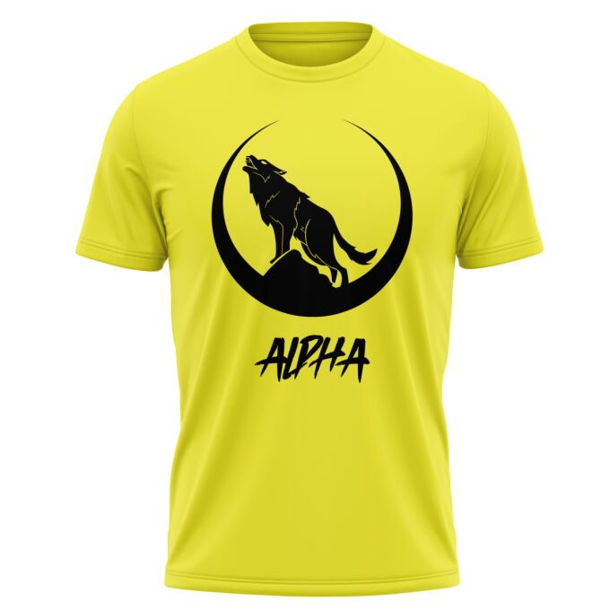 T-Shirt Homme de qualité supérieure (matériau de personnalisation haut de gamme, imprimé en France)